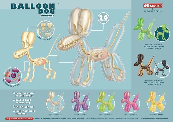 Jason Freeny's "Balloon Dog Anatomy" exposed! See the seethrough glory